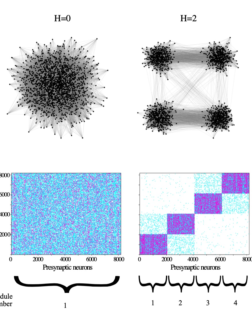 Optimal Interplay between Synaptic Strengths and Network Structure Enhances Activity Fluctuations and Information Propagation in Hierarchical Modular Networks.