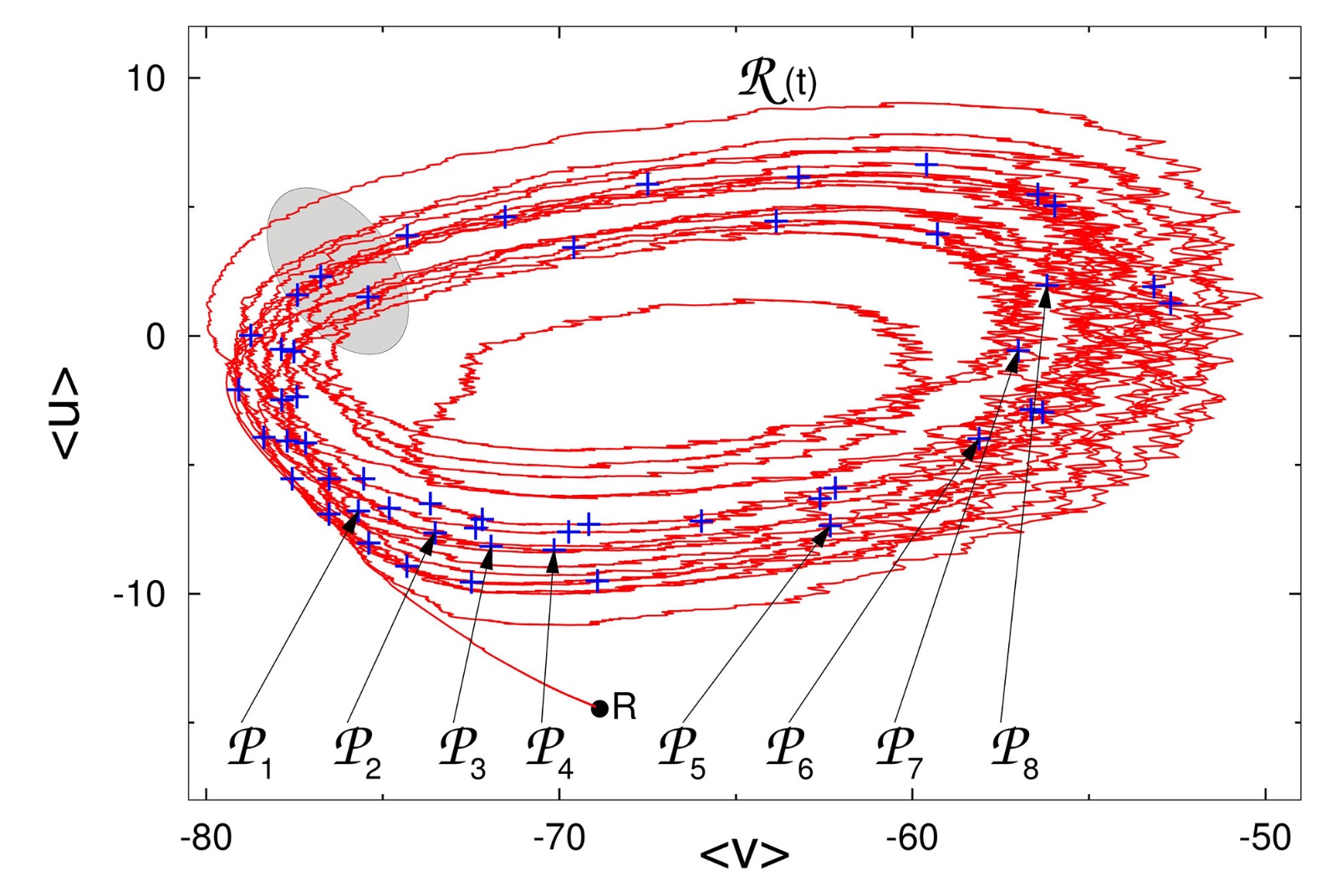 Mechanisms of Self-Sustained Oscillatory States in Hierarchical Modular Networks with Mixtures of Electrophysiological Cell Types.