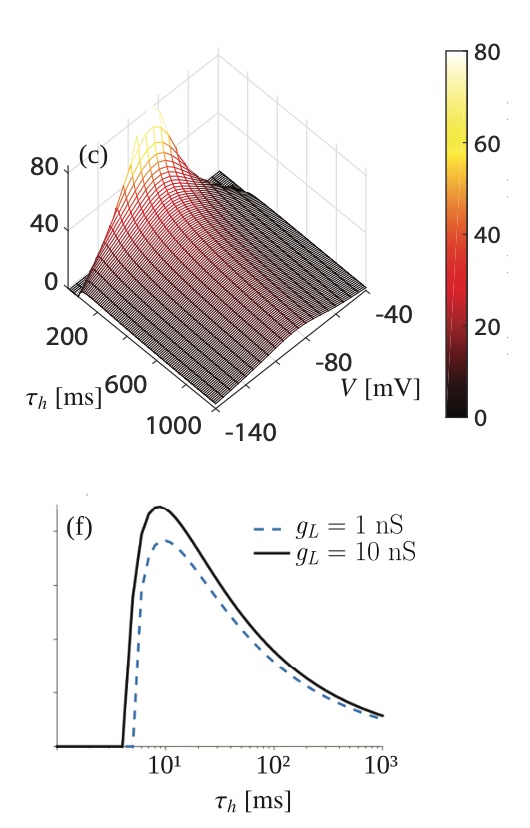 Interplay of activation kinetics and the derivative conductance determines resonance properties of neurons.