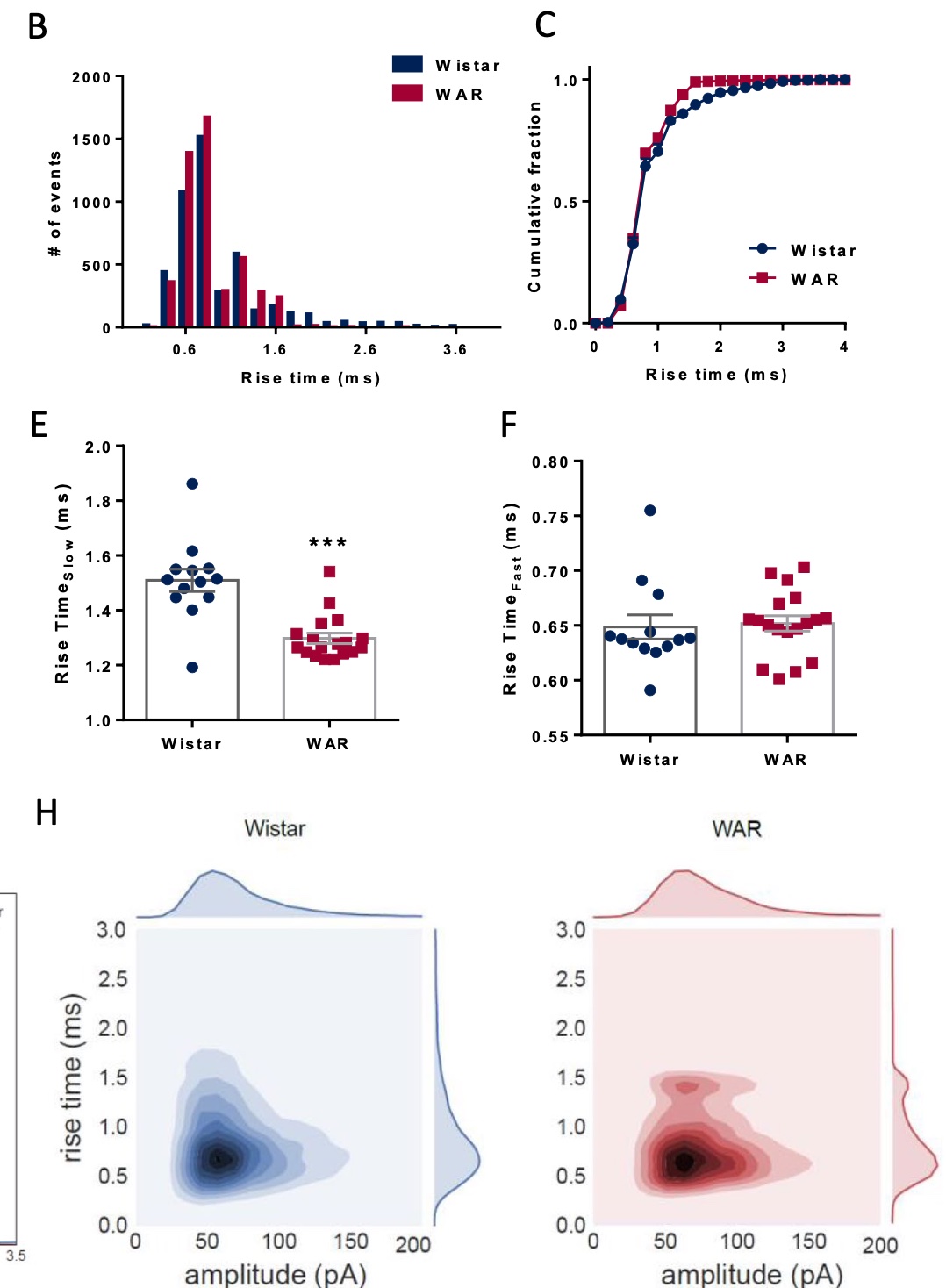 Intrinsic and synaptic properties of hippocampal CA1 pyramidal neurons of the Wistar Audiogenic Rat (WAR) strain, a genetic model of epilepsy.